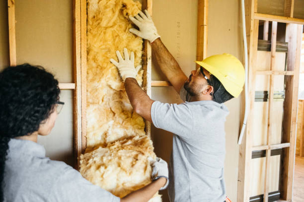 Best Fiberglass Insulation  in Meadowbrook, VA