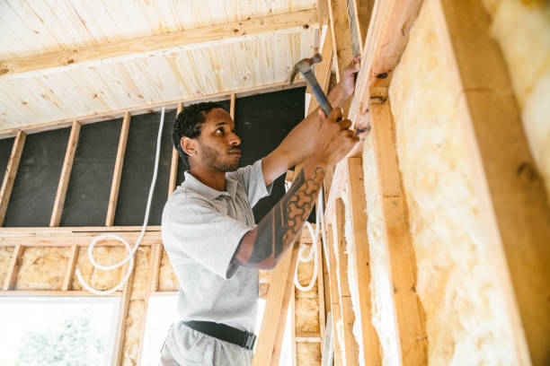 Best Attic Insulation Installation  in Meadowbrook, VA