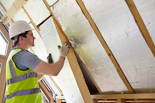 Best Garage Insulation Installation  in Meadowbrook, VA