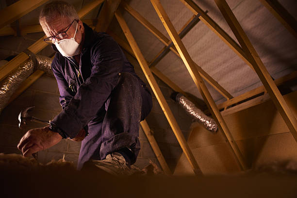 Garage Insulation Installation in Meadowbrook, VA