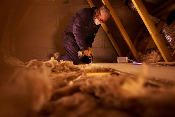 Insulation Repair Services in Meadowbrook, VA
