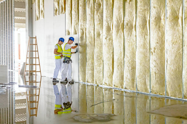 Best Insulation Replacement Services  in Meadowbrook, VA